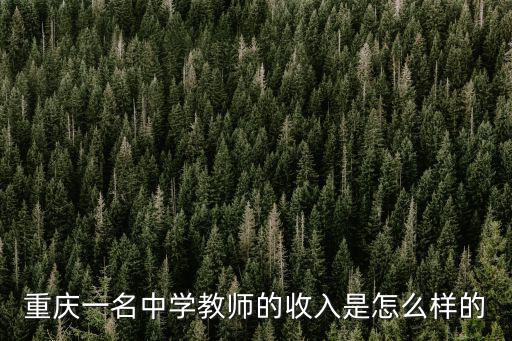 重慶一名中學(xué)教師的收入是怎么樣的