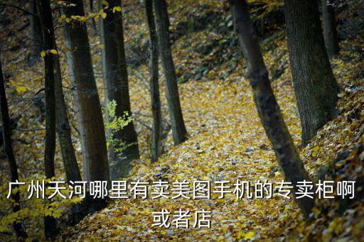 早期廣州網紅，廣州天河哪里有賣美圖手機的專賣柜啊或者店