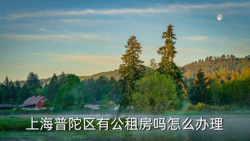 上海市普陀區公租房2019，2019上海公租房一月多少錢