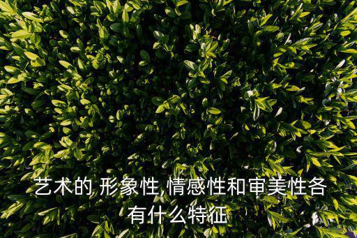  藝術的 形象性,情感性和審美性各有什么特征