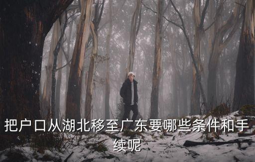 把戶口從湖北移至廣東要哪些條件和手續呢