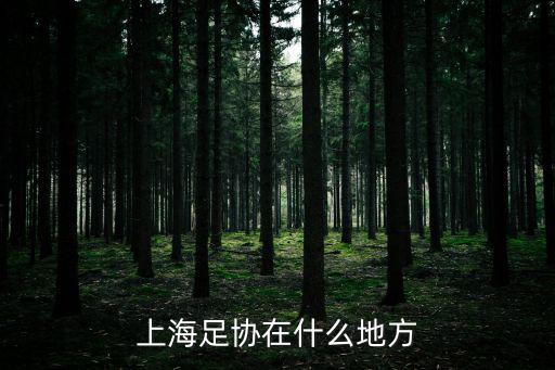 上海足協(xié)在什么地方