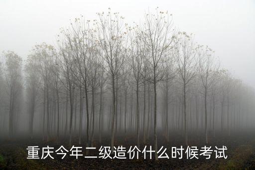 重慶市二級造價工程師考試答案，求2013年重慶造價員考試資料考試題答案