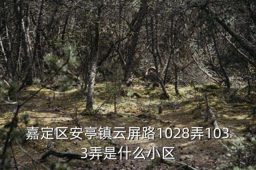 嘉定區(qū)安亭鎮(zhèn)云屏路1028弄1033弄是什么小區(qū)