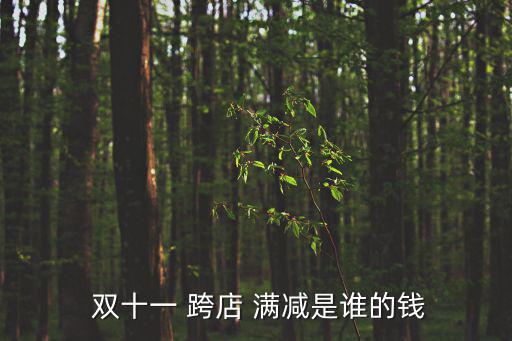  雙十一 跨店 滿減是誰的錢