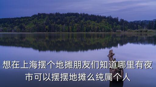 想在上海擺個地攤朋友們知道哪里有夜市可以擺擺地攤么純屬個人