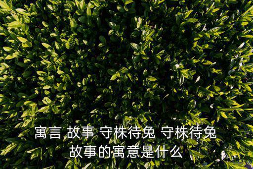  寓言 故事 守株待兔 守株待兔 故事的寓意是什么