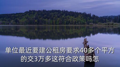 單位最近要建公租房要求40多個平方的交3萬多這符合政策嗎怎