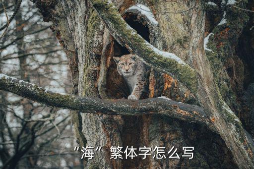 “海”繁體字怎么寫