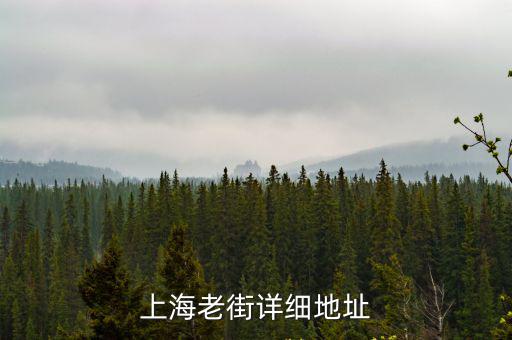 上海市中心149新開的老街老店，上海老街的特色老餐廳價格中等經濟實惠