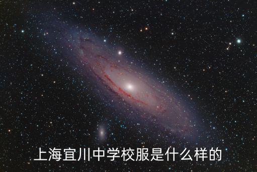 上海宜川中學校服是什么樣的