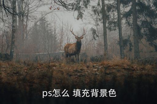  ps怎么 填充背景色