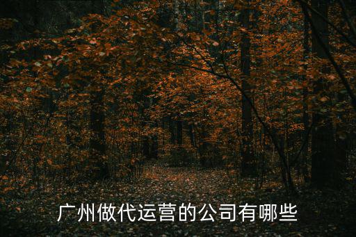 廣州初晨運營公司，廣州做代運營的公司有哪些