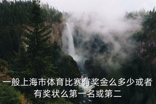 一般上海市體育比賽有獎金么多少或者有獎狀么第一名或第二