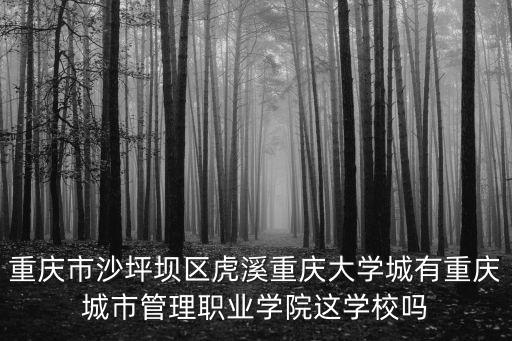 重慶市沙坪壩區虎溪重慶大學城有重慶城市管理職業學院這學校嗎
