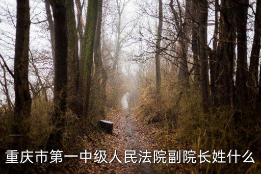 重慶市第一中級人民法院副院長姓什么