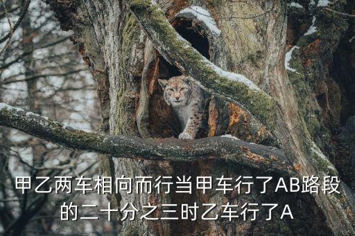 甲乙兩車相向而行當甲車行了AB路段的二十分之三時乙車行了A