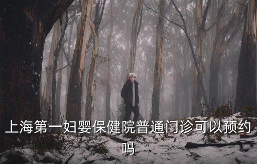 上海市第一婦嬰帥文預約，上海一婦嬰B超預約