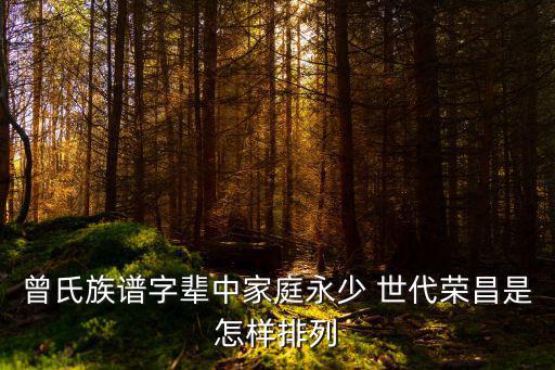 曾氏族譜字輩中家庭永少 世代榮昌是怎樣排列