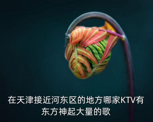 在天津接近河東區的地方哪家KTV有東方神起大量的歌