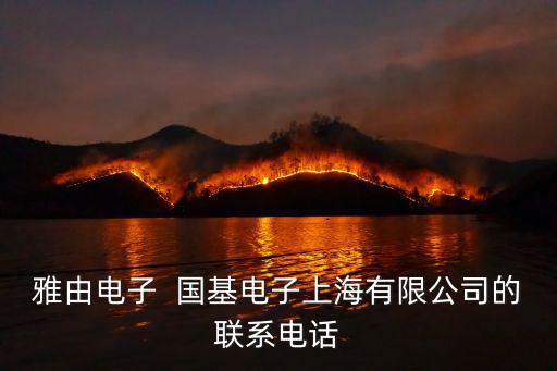 雅由電子  國基電子上海有限公司的聯(lián)系電話