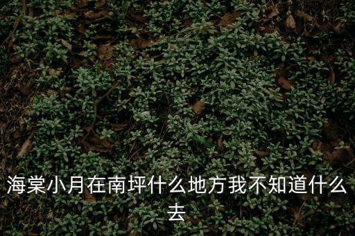 海棠小月在南坪什么地方我不知道什么去