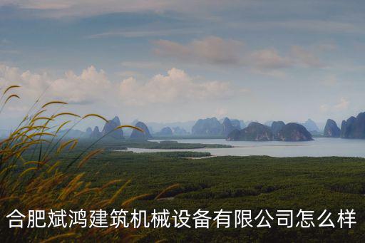 朱仁斌,合肥洪斌工程機(jī)械設(shè)備有限公司經(jīng)營(yíng)范圍轉(zhuǎn)向非工業(yè)領(lǐng)域