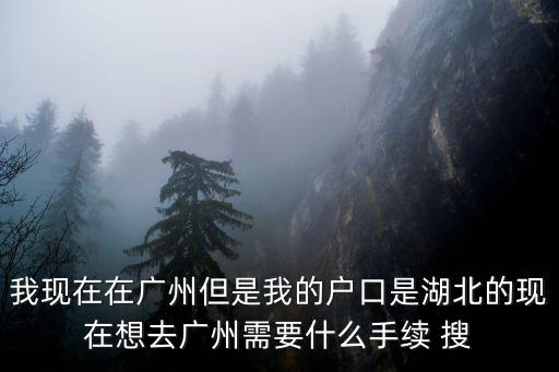我現在在廣州但是我的戶口是湖北的現在想去廣州需要什么手續 搜