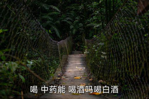 喝 中藥能 喝酒嗎喝白酒