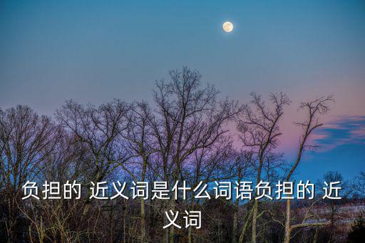 負擔的 近義詞是什么詞語負擔的 近義詞