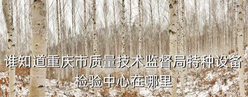 重慶市場監督局質檢方式，誰知道重慶市質量技術監督局特種設備檢驗中心在哪里