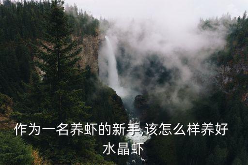 作為一名養(yǎng)蝦的新手,該怎么樣養(yǎng)好 水晶蝦