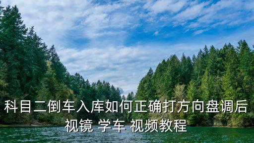 學車視頻,學車找個好教練看視頻記分