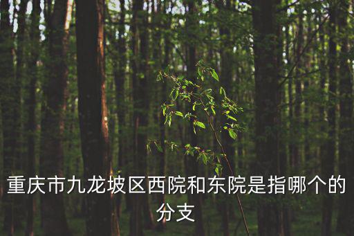 重慶市九龍坡區人民醫院東院住宿，重慶九龍坡第一人民醫院這個一家什么醫院
