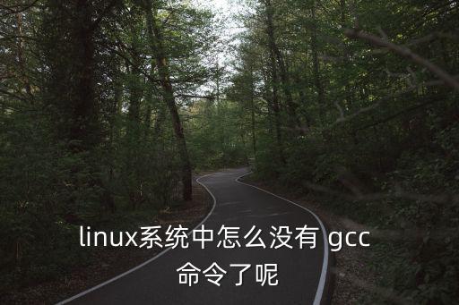 linux系統中怎么沒有 gcc 命令了呢
