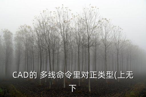 CAD的 多線命令里對正類型(上無下