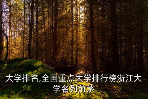 浙江大學排名,全國重點大學排行榜浙江大學名列前茅