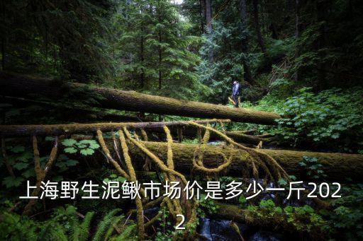 上海野生泥鰍市場(chǎng)價(jià)是多少一斤2022