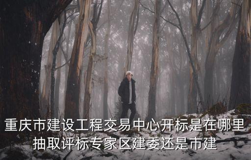 重慶市建設工程交易中心開標是在哪里抽取評標專家區建委還是市建