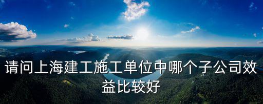 請問上海建工施工單位中哪個子公司效益比較好