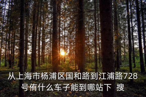 從上海市楊浦區國和路到江浦路728號侑什么車子能到哪站下  搜