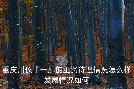 重慶川儀十一廠的工資待遇情況怎么樣發展情況如何