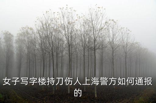 女子寫字樓持刀傷人上海警方如何通報的