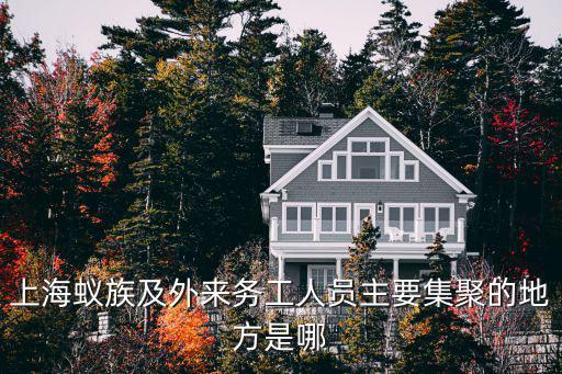 上海蟻族及外來務工人員主要集聚的地方是哪