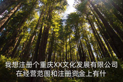 我想注冊個重慶XX文化發展有限公司在經營范圍和注冊資金上有什