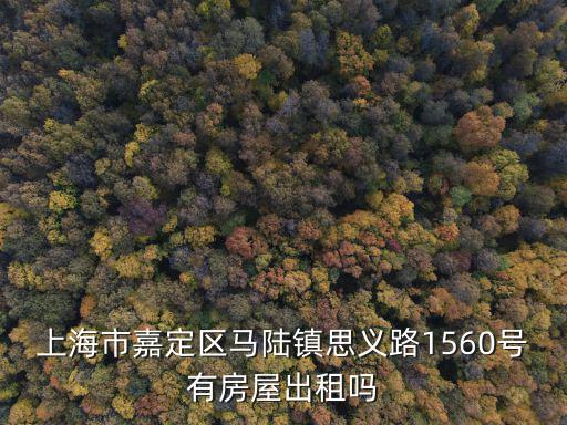 上海市嘉定區(qū)馬陸鎮(zhèn)思義路1560號(hào)有房屋出租嗎