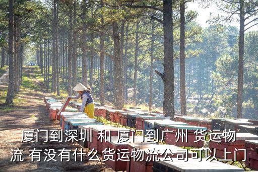 廈門到深圳 和 廈門到廣州 貨運物流 有沒有什么貨運物流公司可以上門