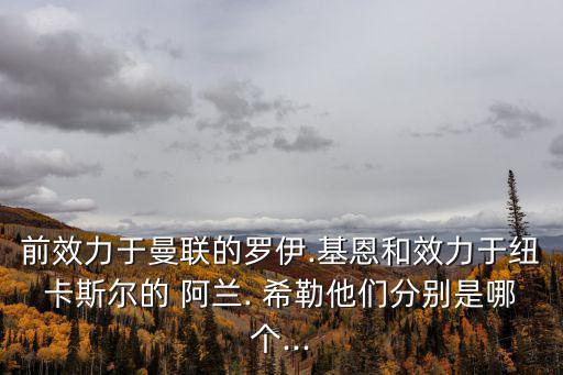 阿蘭希勒,阿蘭希勒的硬骨頭性格到曼聯或和弗格森有些沖突