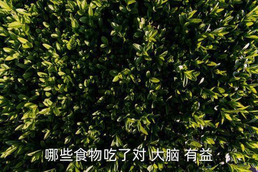 對大腦有益的食物,核桃富含不飽和脂肪酸有助預防大腦萎縮