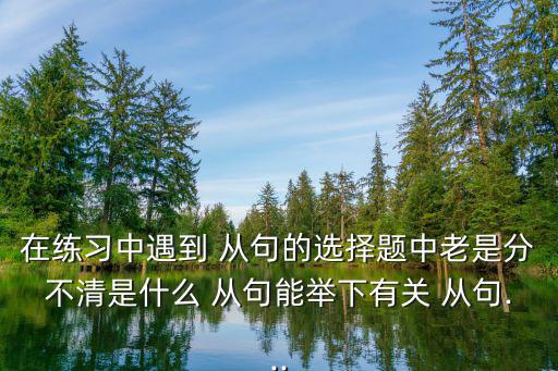 名詞性從句練習,非限制性從句需要先行詞才能使用得當